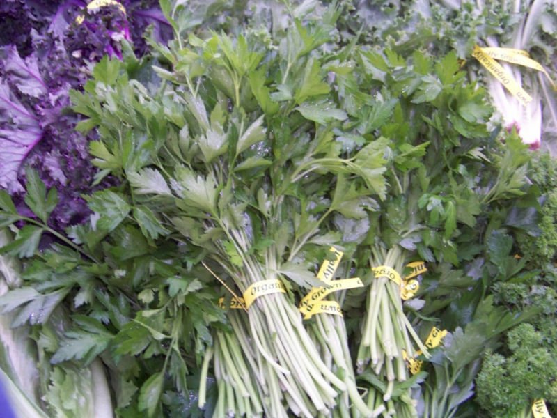 Kolokolo Store parsley, HERB AND GARNISH, 940 seeds GroCo