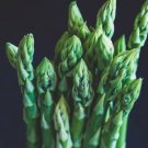 Asparagus 50 Heirloom 1.99 Vegetable Garden Seeds Non GMO USA Seller