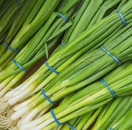 250 Evergreen White Bunching Onion Seeds, Scallions, Non-Gmo, Heirlom