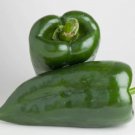 15 Poblano Pepper Seeds NonGmo  Seed Store 1011 Home Garden Seeds