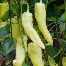 30 Sweet Banana Pepper Seeds Heirloom  NonGmo  Seed Store 1017 Home Garden Seeds