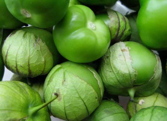 Grande Rio Verde Tomatillo 50 Seeds NonGmo Mexican Husk Tomato Home Garden Seeds