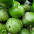 Grande Rio Verde Tomatillo 50 Seeds NonGmo Mexican Husk Tomato Home Garden Seeds