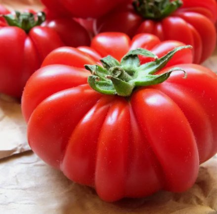 Costoluto Genovese Tomato 30 Seeds Italian Ribbed NonGmo   Home Garden Seeds