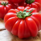 Costoluto Genovese Tomato 30 Seeds Italian Ribbed NonGmo   Home Garden Seeds