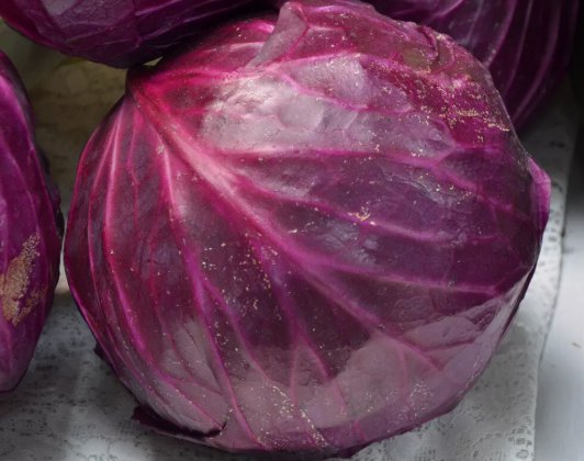 Red Acre Cabbage 250 Seeds, Coleslaw, NonGmo, Variety Sizes,  Home Garden Seeds
