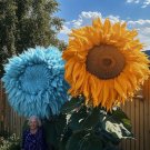 Rare Yellow & Blue Mixed Enchanting Giant Teddy Bear Sunflower 50 Seeds Home Garden Seeds