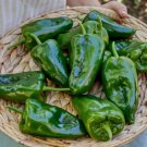 Ancho Poblano Pepper 25 Seeds Heirloomseedguy 2025 NonGmo Home Garden Seeds