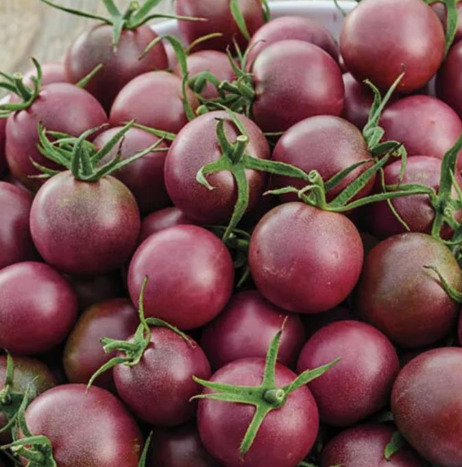 Black Cherry Tomato 30 Seeds NonGmo  Seed Store 1028 Home Garden Seeds