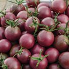 Black Cherry Tomato 30 Seeds NonGmo  Seed Store 1028 Home Garden Seeds