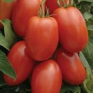 Roma Tomato 50 Seeds Heirloom  Nongmo  Seed Store 1026 Home Garden Seeds