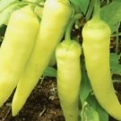 Sweet Banana Pepper 25 Seeds Nongmo Pepper Seeds Fresh Heirloom Garden Seeds Home Garden Seeds