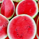 Sugar Baby Watermelon 100 Seeds Super Sweet Fruit Heirloom Non-Gmo Melon Home Garden Seeds