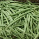 Provider Bush Green Bean 10 Seeds Non-Gmo Stringless High Yields Home Garden Seeds