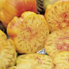 Pineapple Tomato 30 Seeds Heirloomseedguy 2025 Non-Gmo Home Garden Seeds
