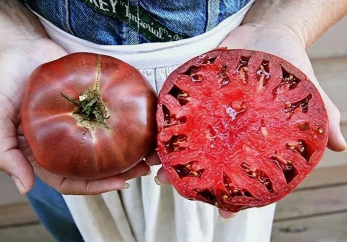 Cherokee Purple Tomato 120 Seeds Heirloom Nongmo Fresh Home Garden Seeds