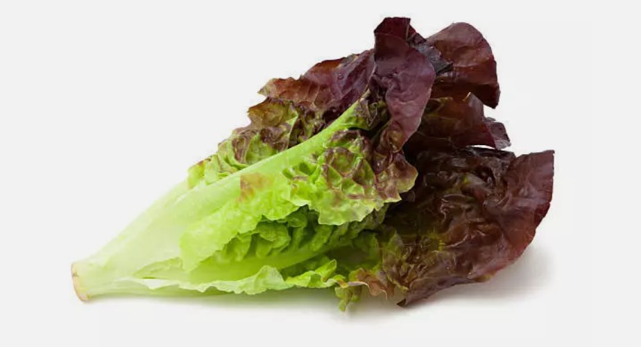 Red Romaine Lettuce 1000 Seeds Heirloomseedguy 2025 Non-Gmo Home Garden Seeds
