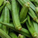 Perkins Long Pod Okra 30 Seeds Non-Gmo Spineless Large Okra Home Garden Seeds