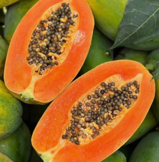 Red Heart Creamy Papaya 50 Seeds The Best of Papayas for Your Home Garden Seeds