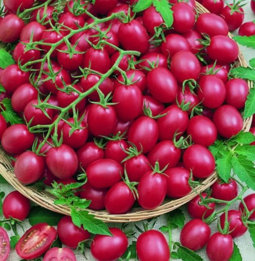 Tomato Cherry Pink Grape 200 Seeds Heirloom Non-Gmo Seeds Garden Seeds