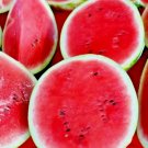 Sugar Baby Watermelon 50 Seeds Super Sweet Heirloom Nongmo  Garden Seeds