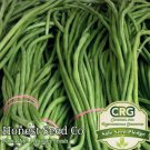 Yard Long Green Bean 40 Seeds Non-Gmo Garden Seeds From   Garden Seeds