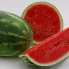All Sweet Watermelon 25 Seeds Heirloom / Non-Gmo  1045 Garden Seeds