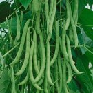 Kentucky Wonder Pole Green Bean 30 Seeds Non-Gmo High Yielding  Garden Seeds