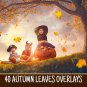 40 Autumn leaves overlay: falling maple leaves, fall leaves, oak leaf autumn, easy to use