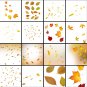 40 Autumn leaves overlay: falling maple leaves, fall leaves, oak leaf autumn, easy to use
