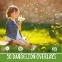 50 dandelion overlays&iuml;&frac14;�dabdelion photoshop overlays.