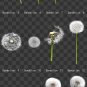 50 dandelion overlays&iuml;&frac14;�dabdelion photoshop overlays.