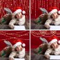 Gold String Light overlays: String Light photoshop overlays PNG format