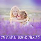 28 lavender overlays，photoshop summer overlays texture png file