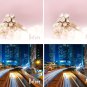 Starlight overlays&iuml;&frac14;�Candlelight overlay photoshop overlays Christmas overlays