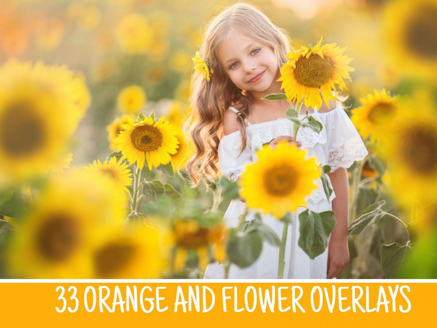 33 sunflower overlays&iuml;&frac14;�romantic bokeh frame sunflower png file