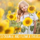 33 sunflower overlays，romantic bokeh frame sunflower png file