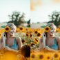 33 sunflower overlaysï¼romantic bokeh frame sunflower png file