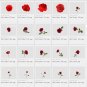 31 red rose overlays:romantic bokeh frame photoshop rose overlays
