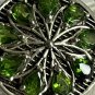 Antique Vintage 1960 Round Green Peridot Sterling Silver Ring Size UK N 1/2 US 7