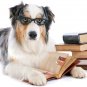 MAGNETIC 3 X Bookmark Collection Handmade Set For DOGS LOVERS!!!