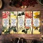 Romantic Poets Bookmark Collection Handmade Set