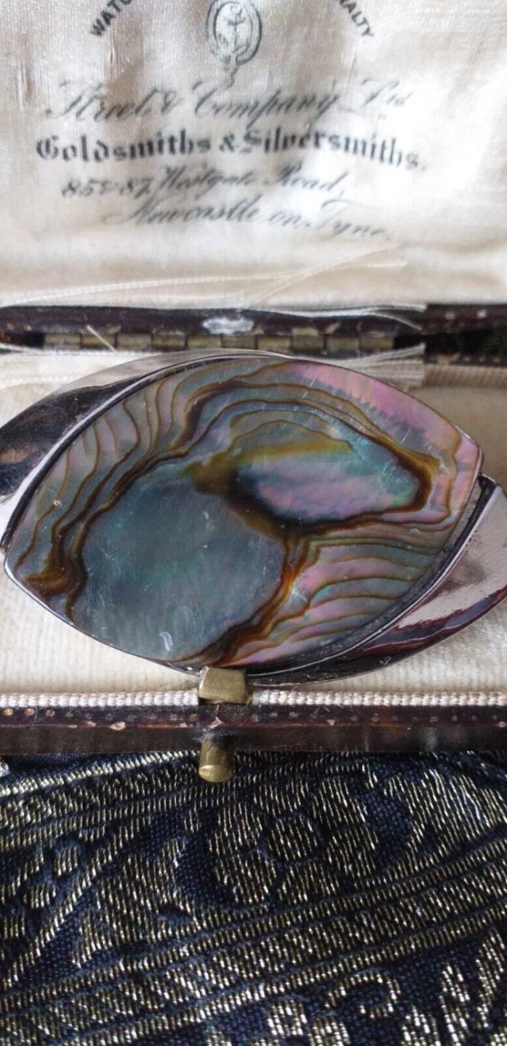 VINTAGE Signed Exquisite Silvertone & Abalone Shell Navette Abstract BROOCH