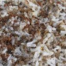 ant eggs, kroto