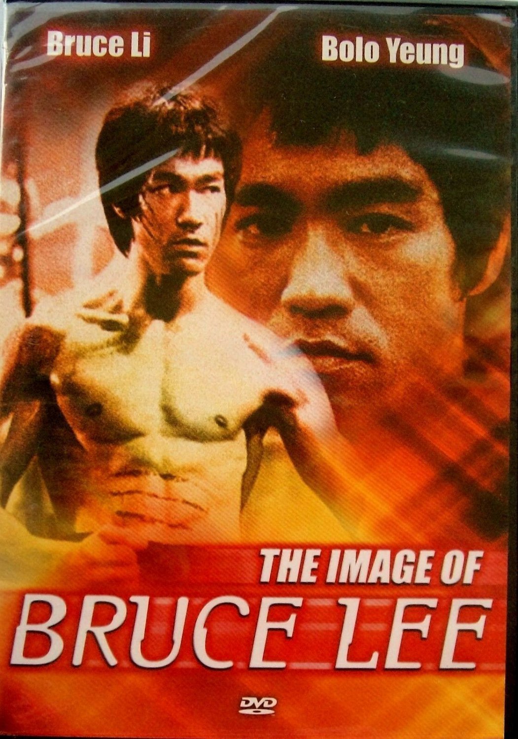 The Image of Bruce Lee (DVD, All Region) # 090328000028