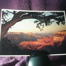 Postcard Of The Grand Canyon by Petley Studios (1983) - Posted -  FREE POSTAGE**