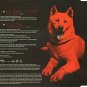 She Wants To Move by Nerd - (CD Single 2004) - FREE POSTAGE**
