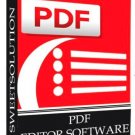 PDF to Word professional Software  Windows Only.