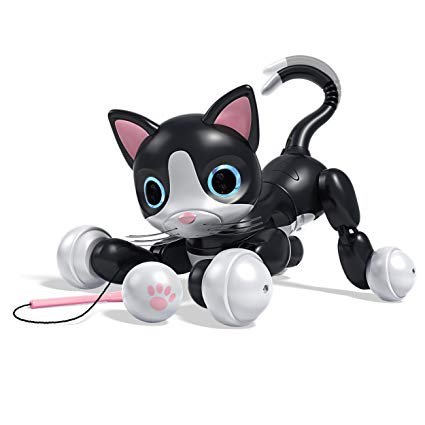 cat spin toy