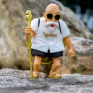 Anime Dragon Ball Z Master Roshi Figure Muten Roshi Goldern shell 25cm vinyl Toy